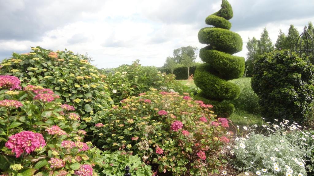 Westwood Country House Бларни Екстериор снимка
